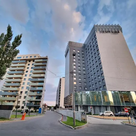 Creative & Luxury New Of *