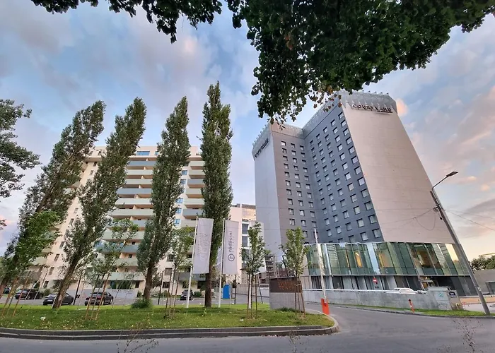 Creative & Luxury New Of